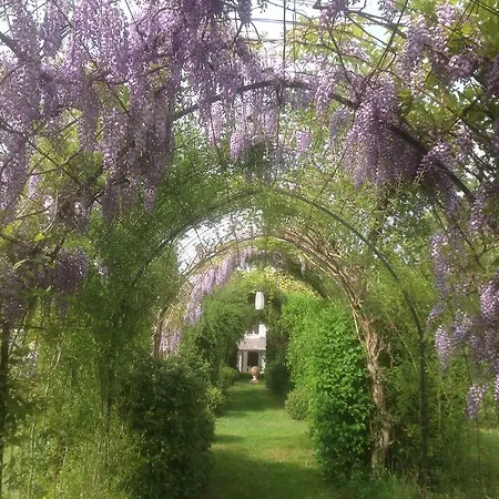 La Maynade Nyaraló *