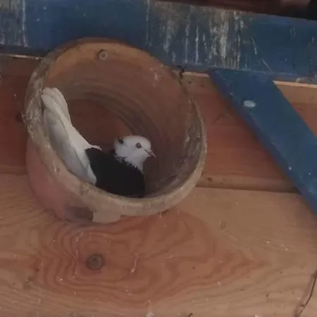 Nyaraló La Maynade Loubens-Lauragais