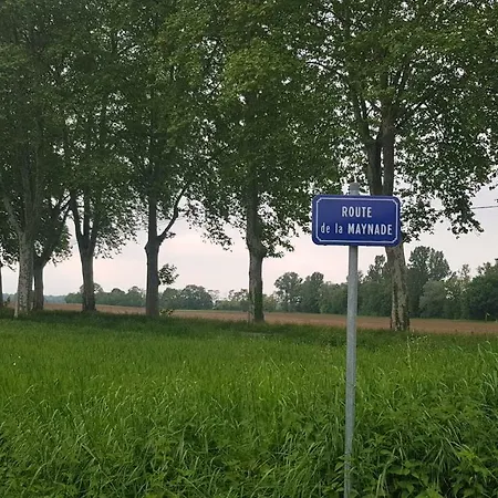 La Maynade *
